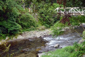 白壁荘　狩野川