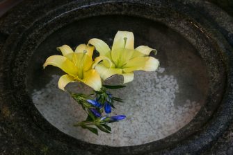 福住楼　花