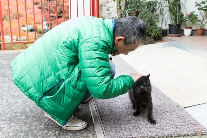 落合荘　看板猫