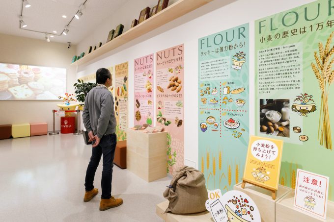 展示