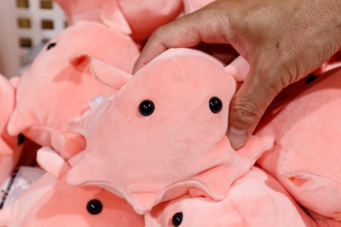 ふわふわメンダコS