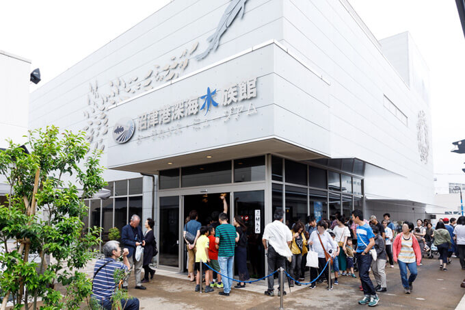 沼津港深海水族館
