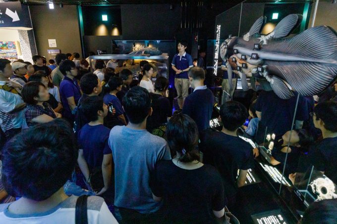 シーラカンス解説イベント